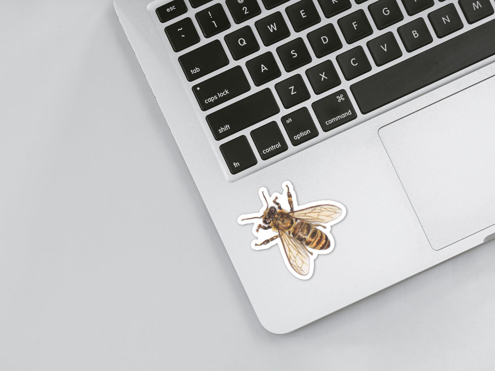 Honey Bee Sticker