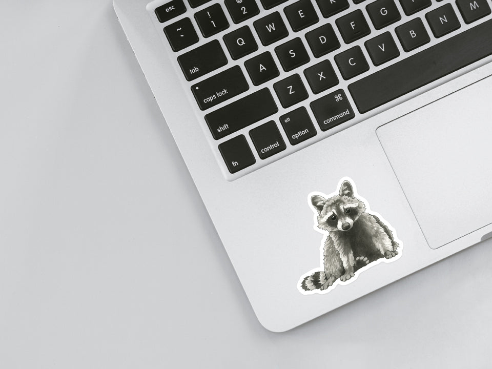 Raccoon Sticker