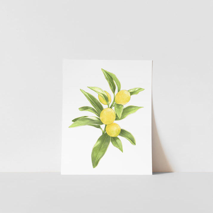 A printed artwork of a lemon branch with green and yellow colors on a white background, signed by Heather S Vitticore.