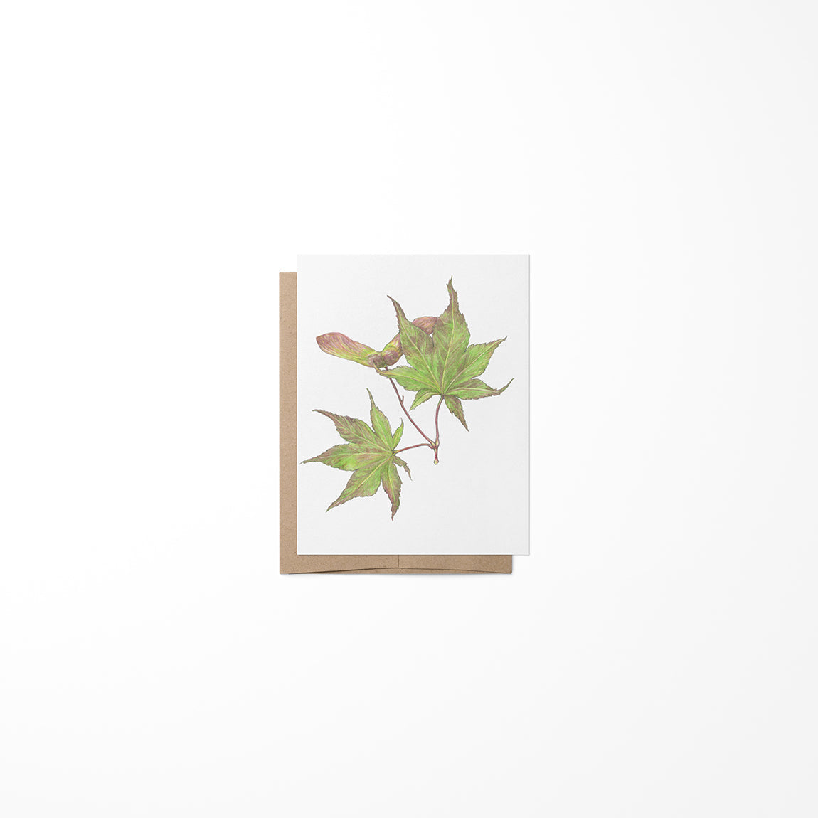 Small greeting card featuring a maple seed and leaves on a white background with a brown Kraft envelope