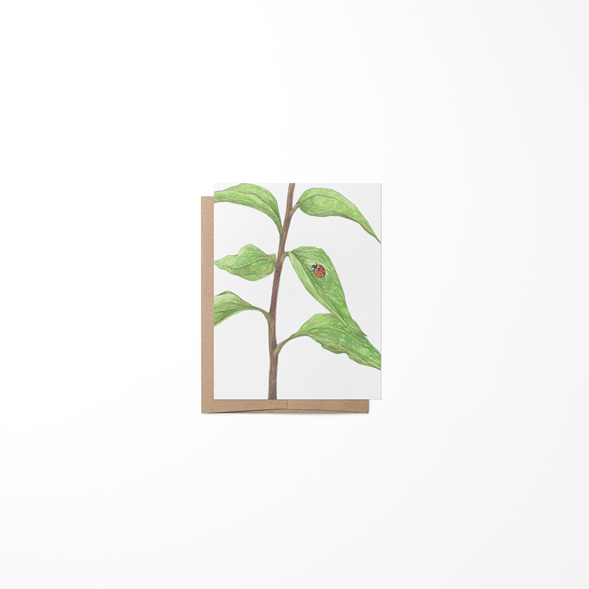 Card with a leaf design and ladybug on a white background