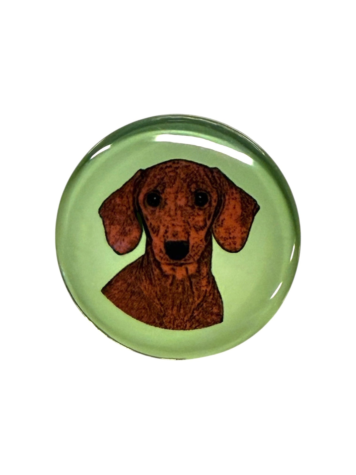 Dachshund Brown Dog Magnet
