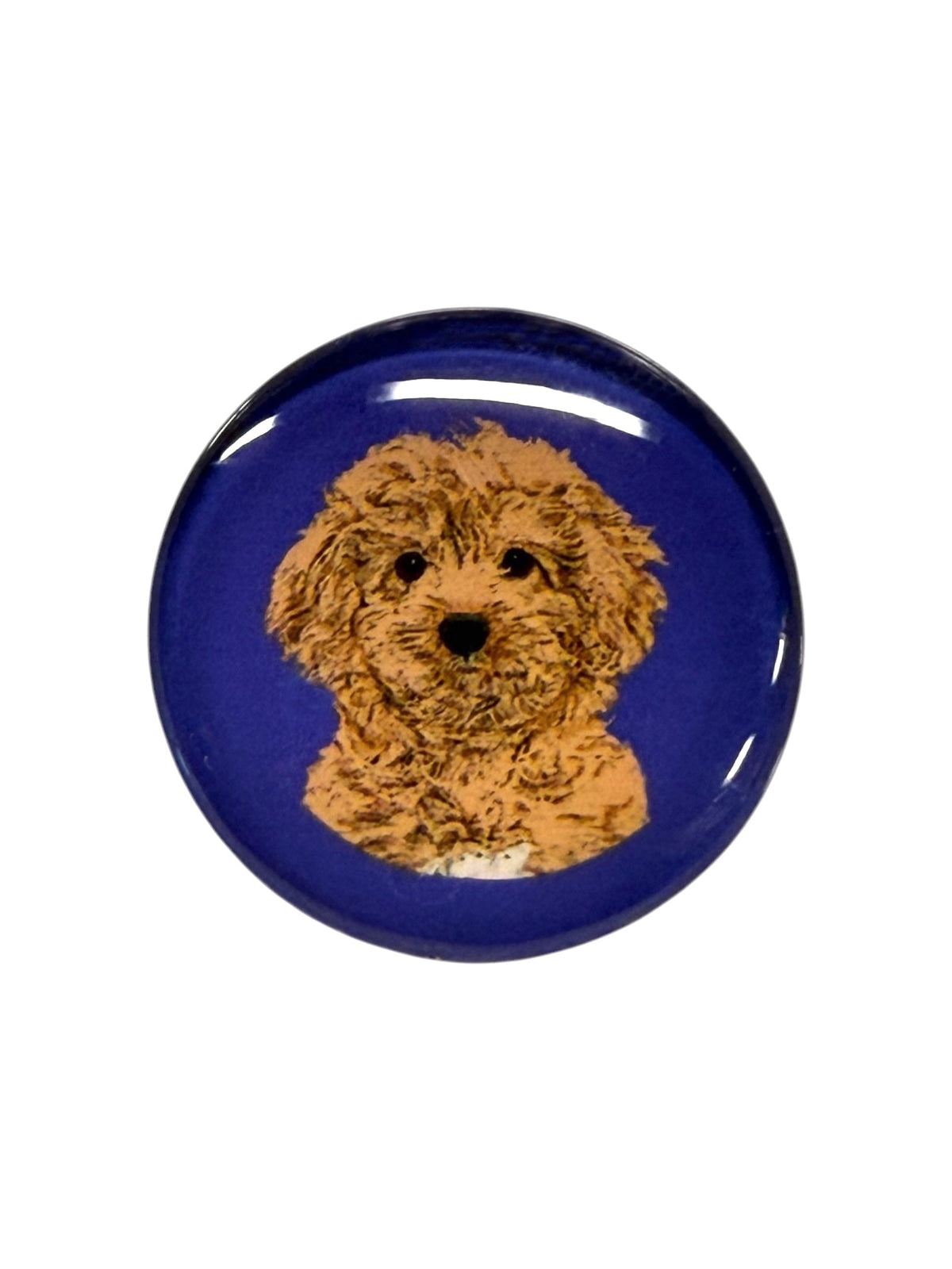 Cockapoo Dog Magnet