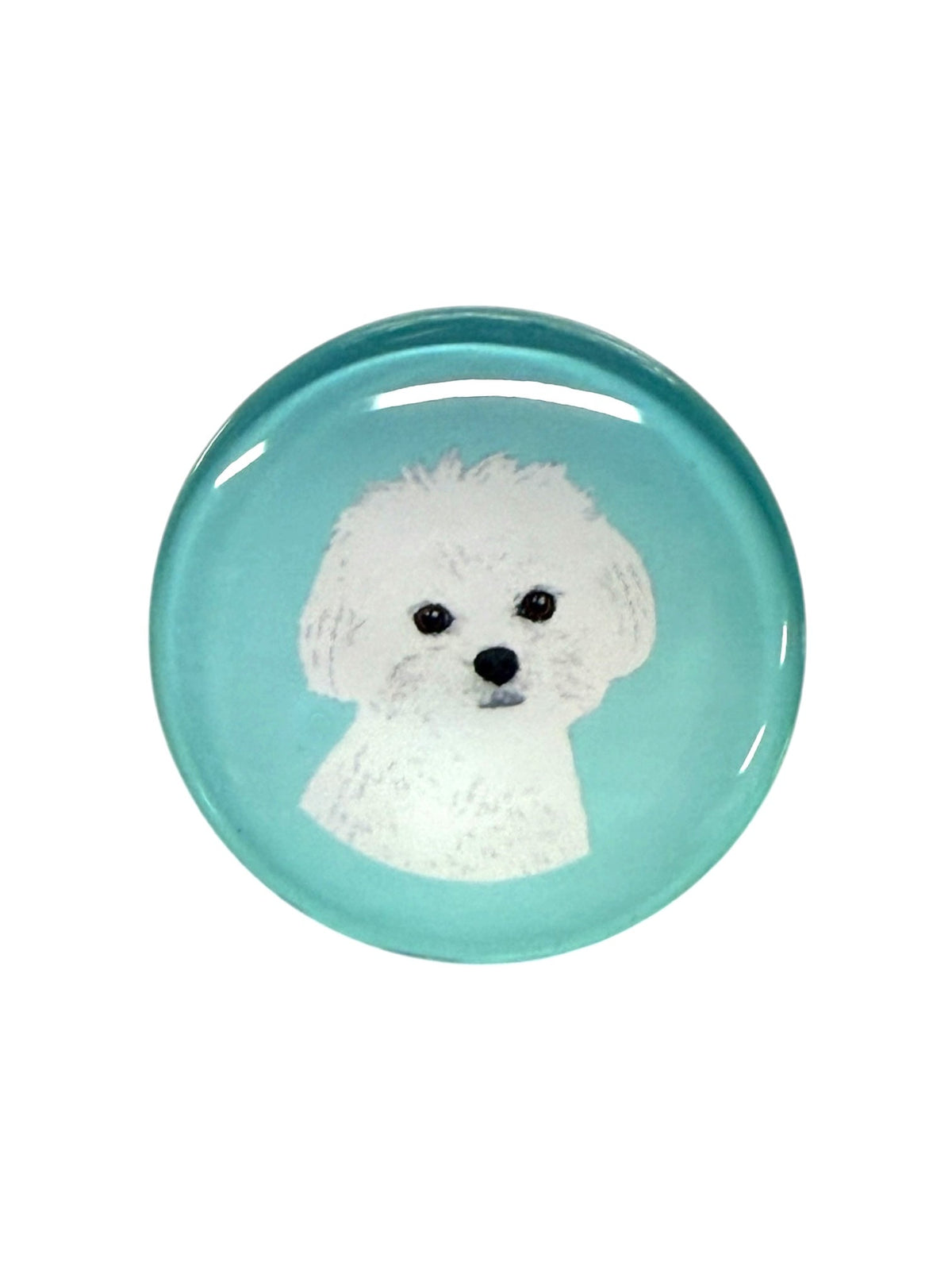 Maltese Dog Magnet