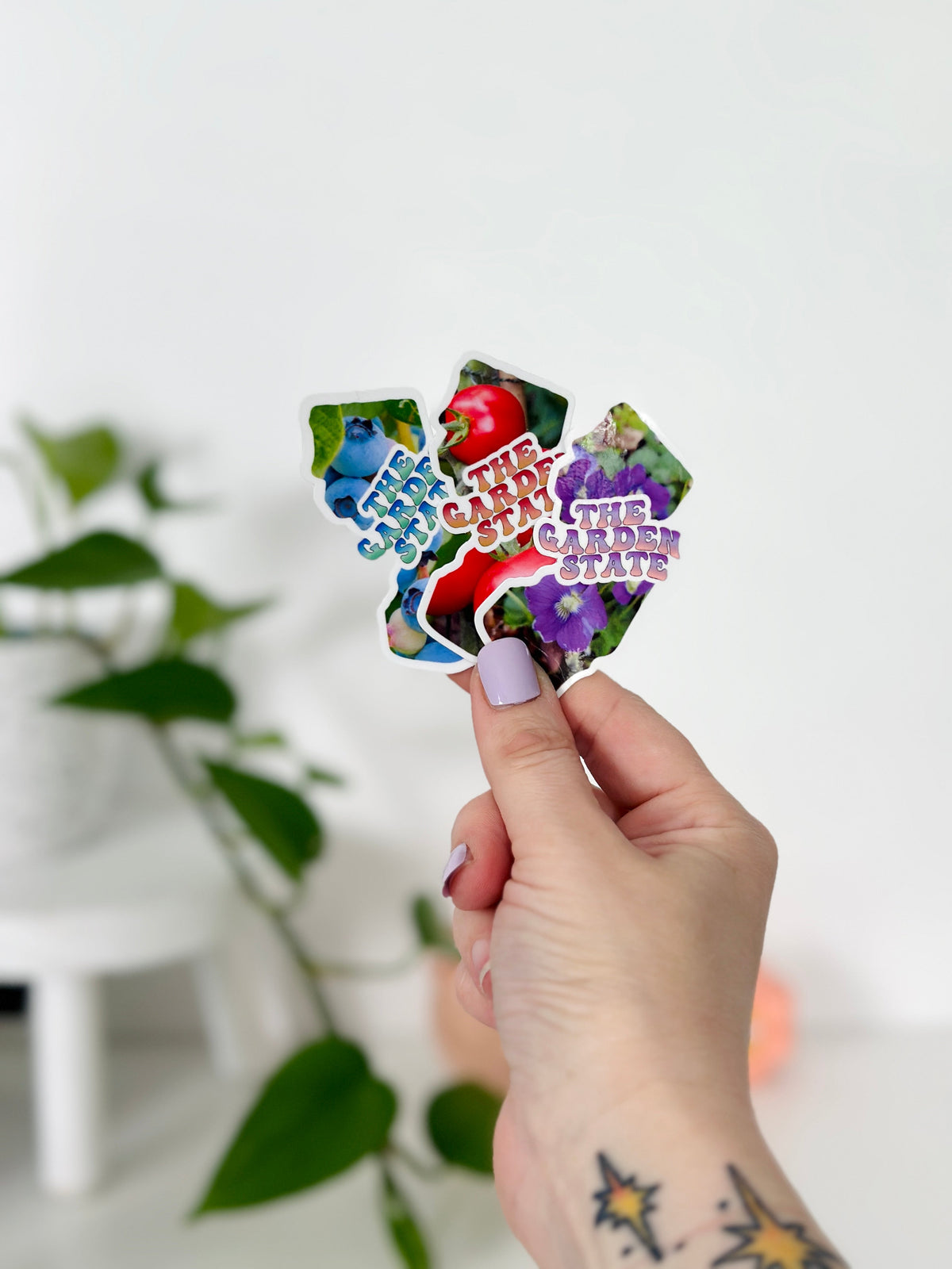 Garden State Stickers, NJ Tomato Sticker, NJ Violets Decal, NJ Blueberries Sticker