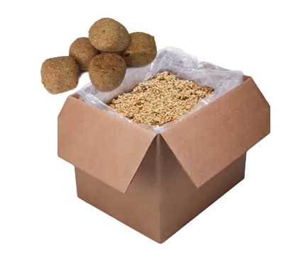 Pumpkin Dog Treats - 4Legz