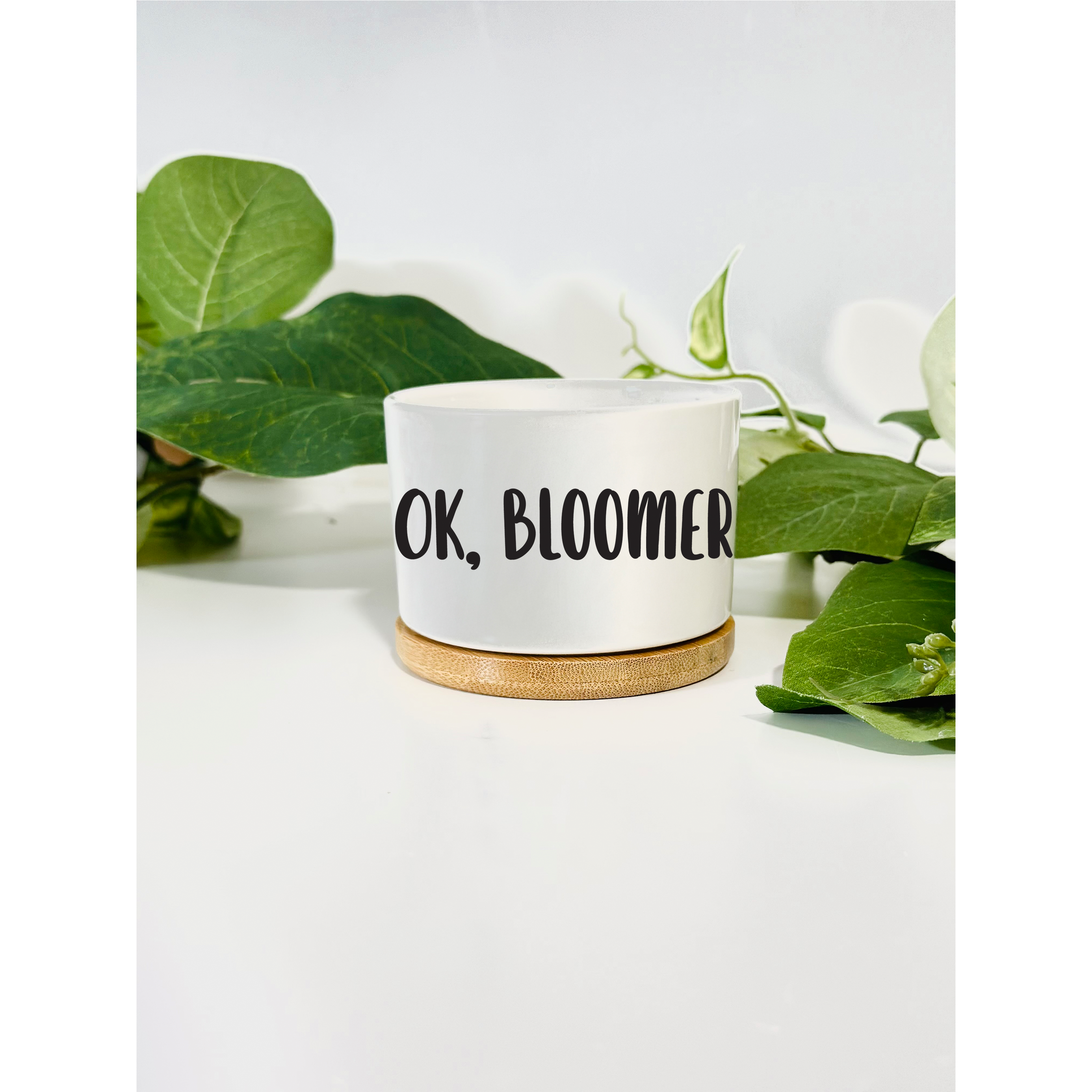 Funny, Cute and Sarcastic Mini Planters