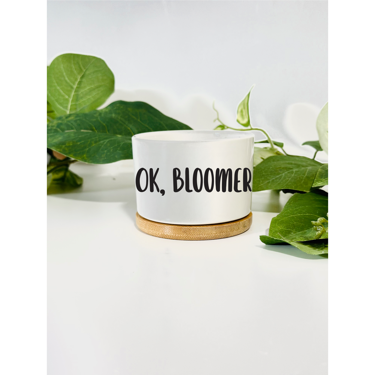 Funny, Cute and Sarcastic Mini Planters