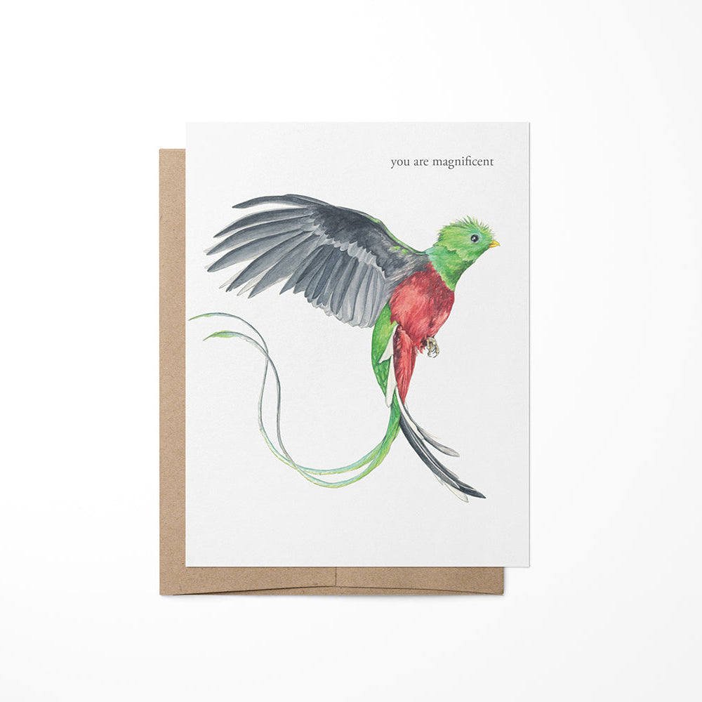 Greeting card featuring a quetzal bird watercolor painting with the text &