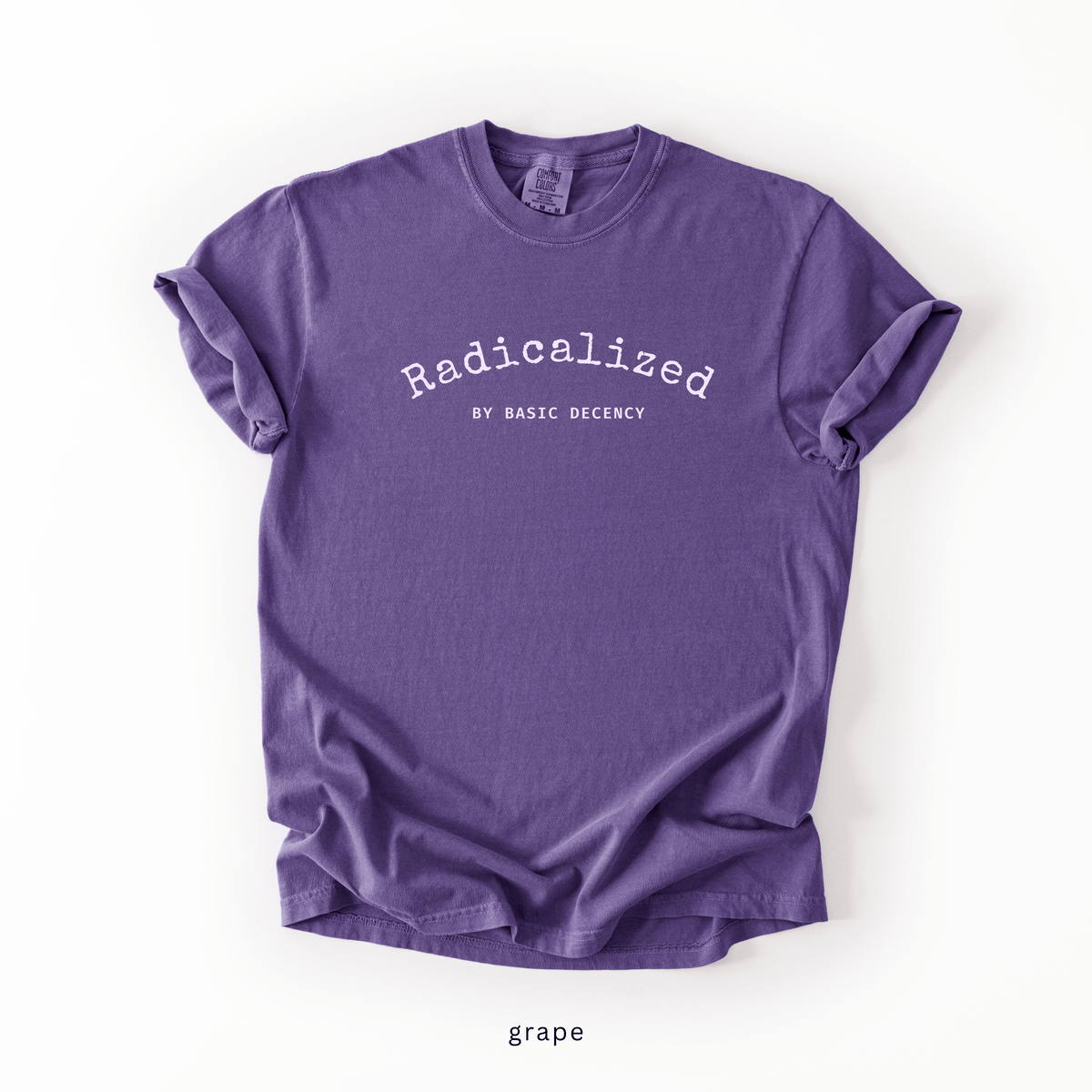 Radicalized by Basic Decency Shirt