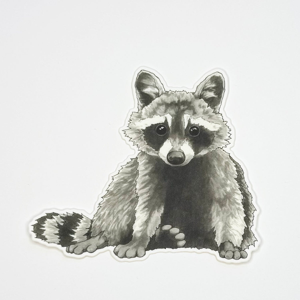Raccoon Sticker