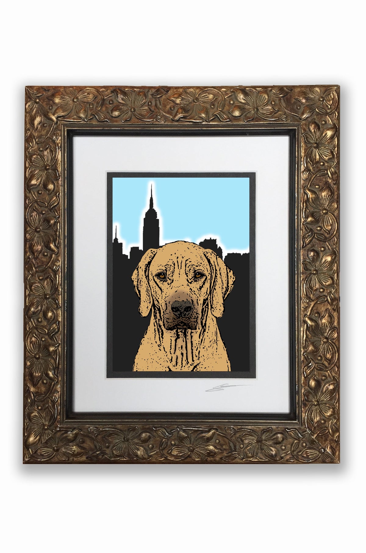Rhodesian Ridgeback Pupart Portrait