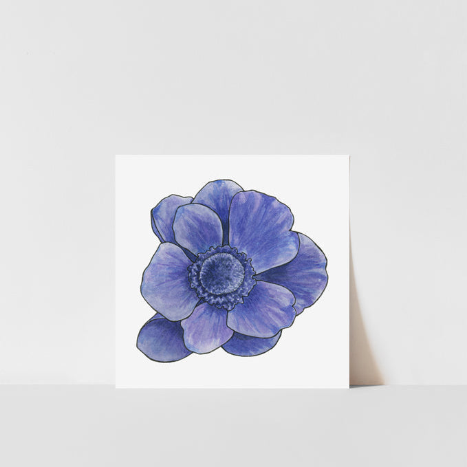 A printed art of a blue anemone flower on a white background, with a visible white border.