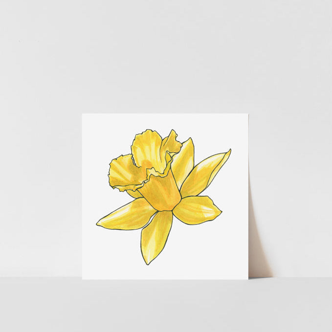 A printed art piece of a single daffodil flower with a yellow petals, displayed against a white background.