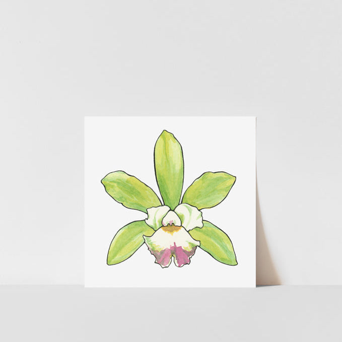 A printed artwork featuring a stylized orchid with green leaves and a central flower, on a white background.