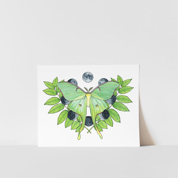 A printed artwork of a Luna Moth with green and blue colors on a white background, signed by Heather S Vitticore.