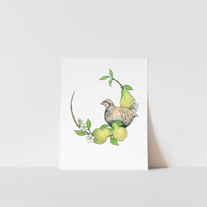 A printed artwork featuring a watercolor painting of a bird perched on a branch with leaves, titled &
