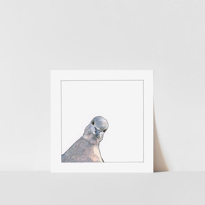 A framed art print of a watercolor painting depicting a pigeon, with a white border and signed in pencil at the bottom right corner.