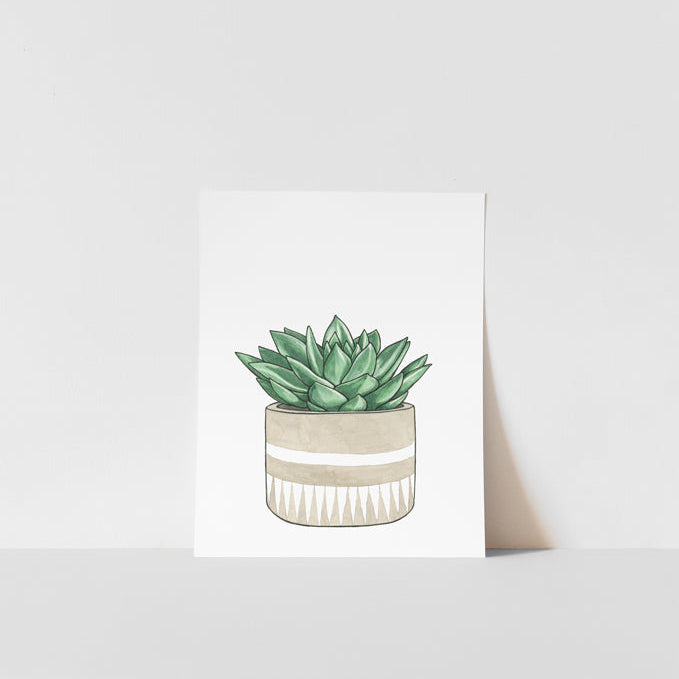 Art print featuring a succulent plant in a pot on a white background
