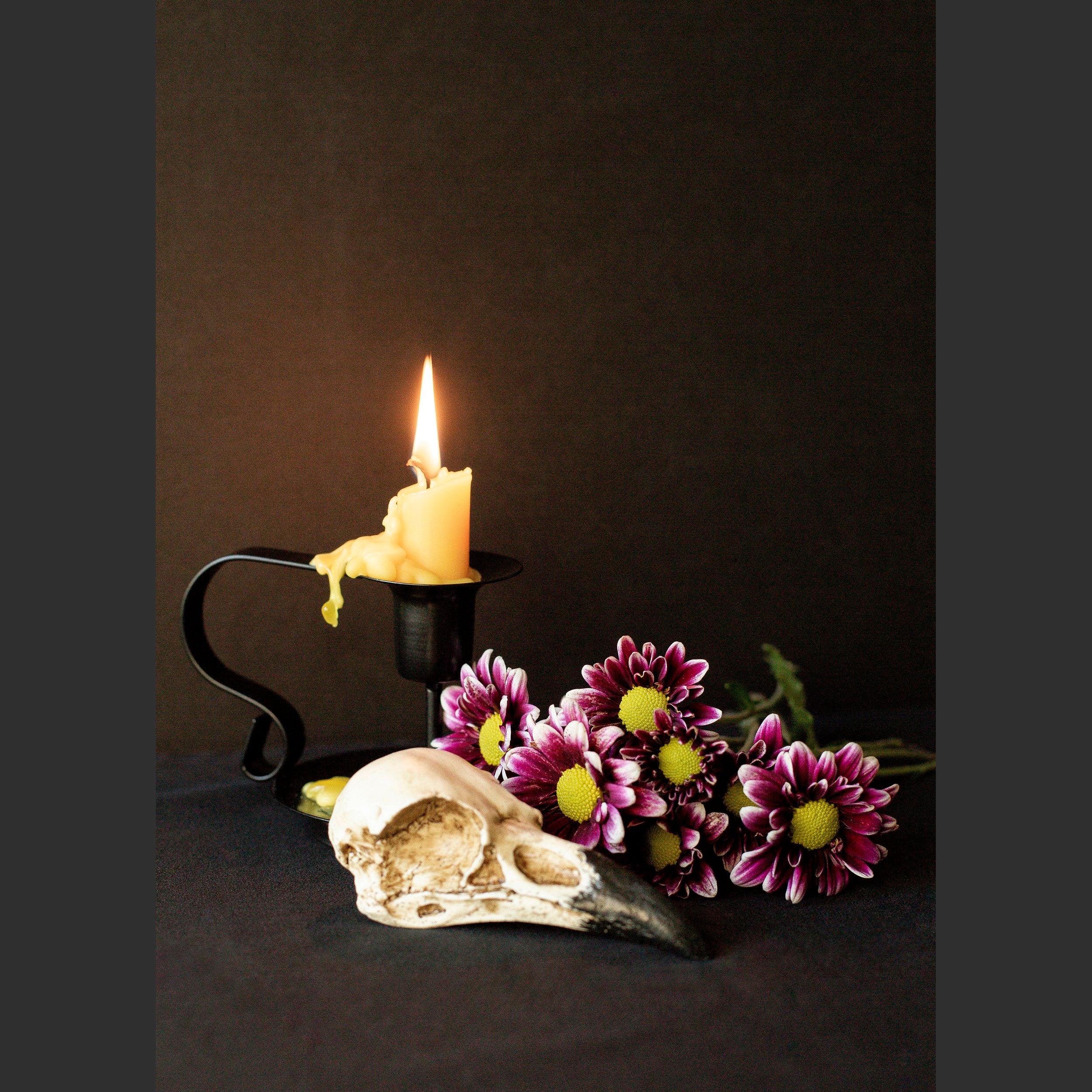 SkullsAndFlowers1-8536.jpg
