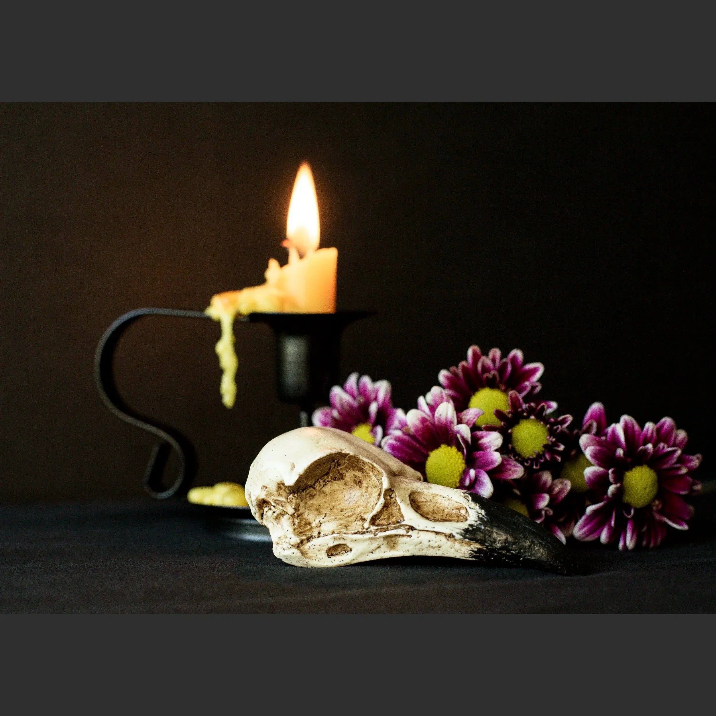 SkullsAndFlowers1-8541.jpg