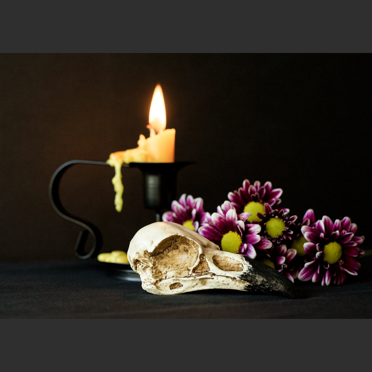 SkullsAndFlowers1-8541.jpg