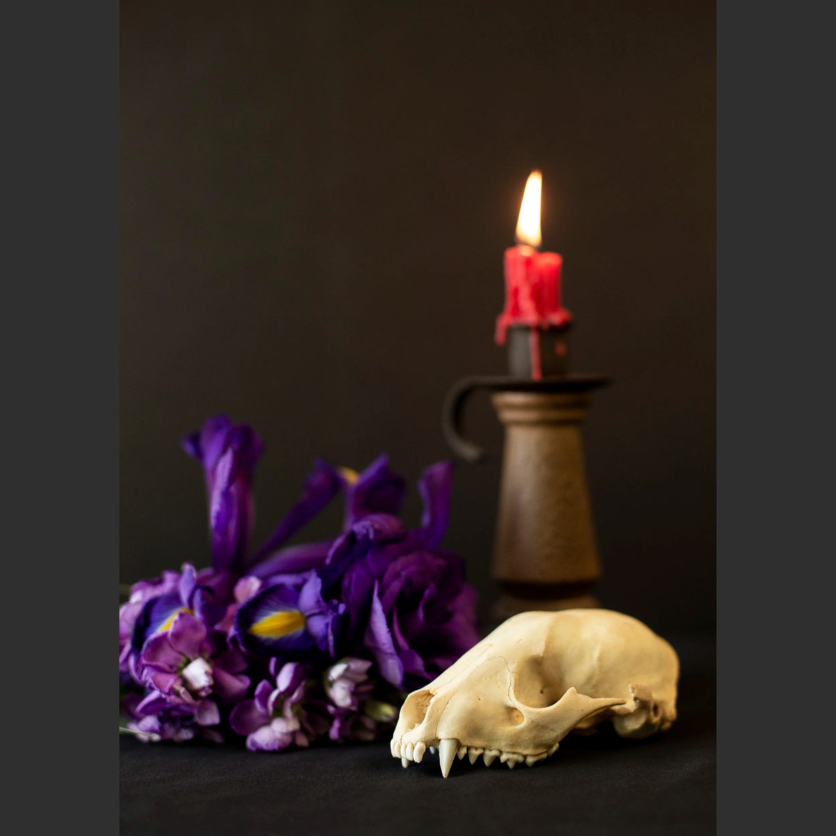 SkullsAndFlowers2-8672.jpg