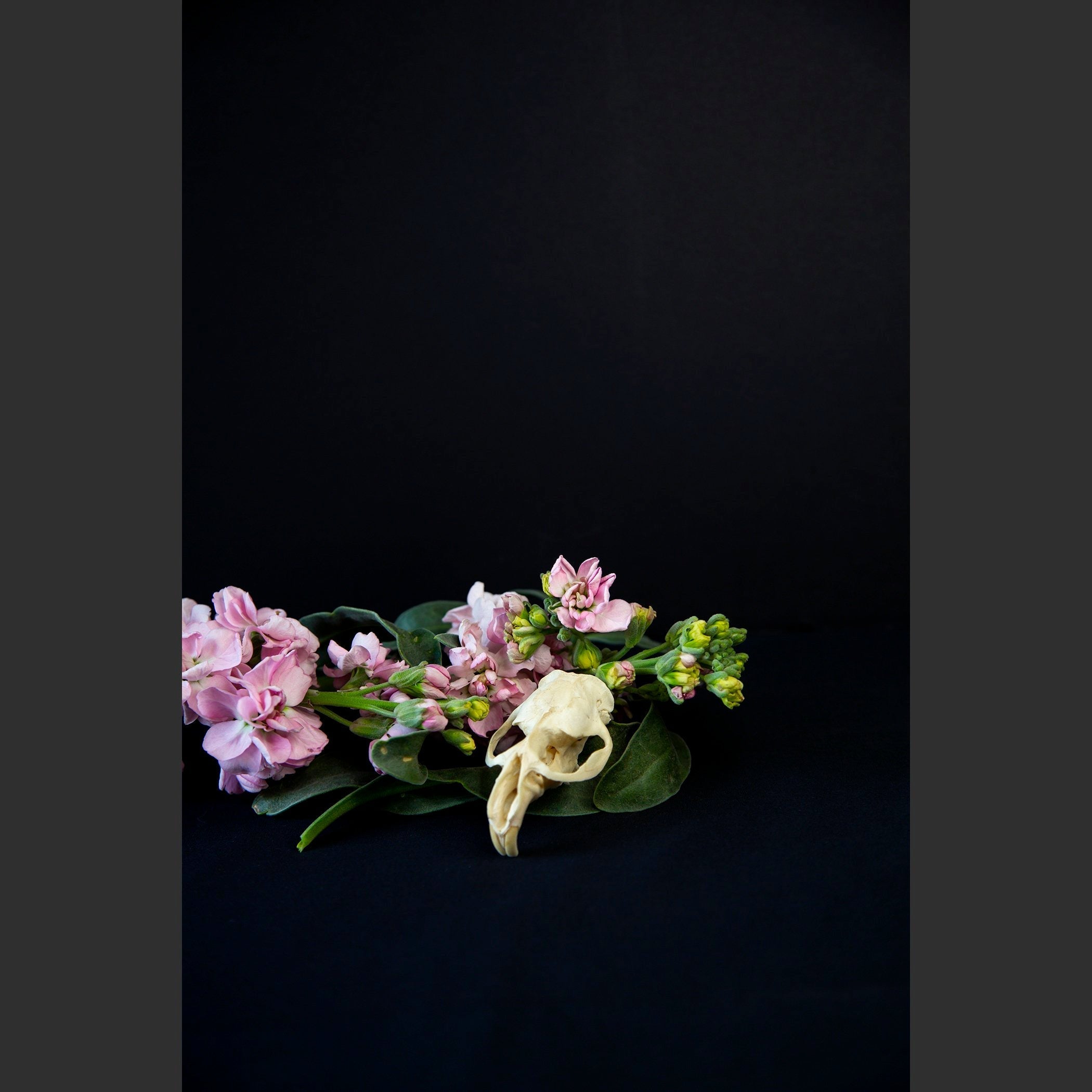 SkullsAndFlowers4-0143.jpg