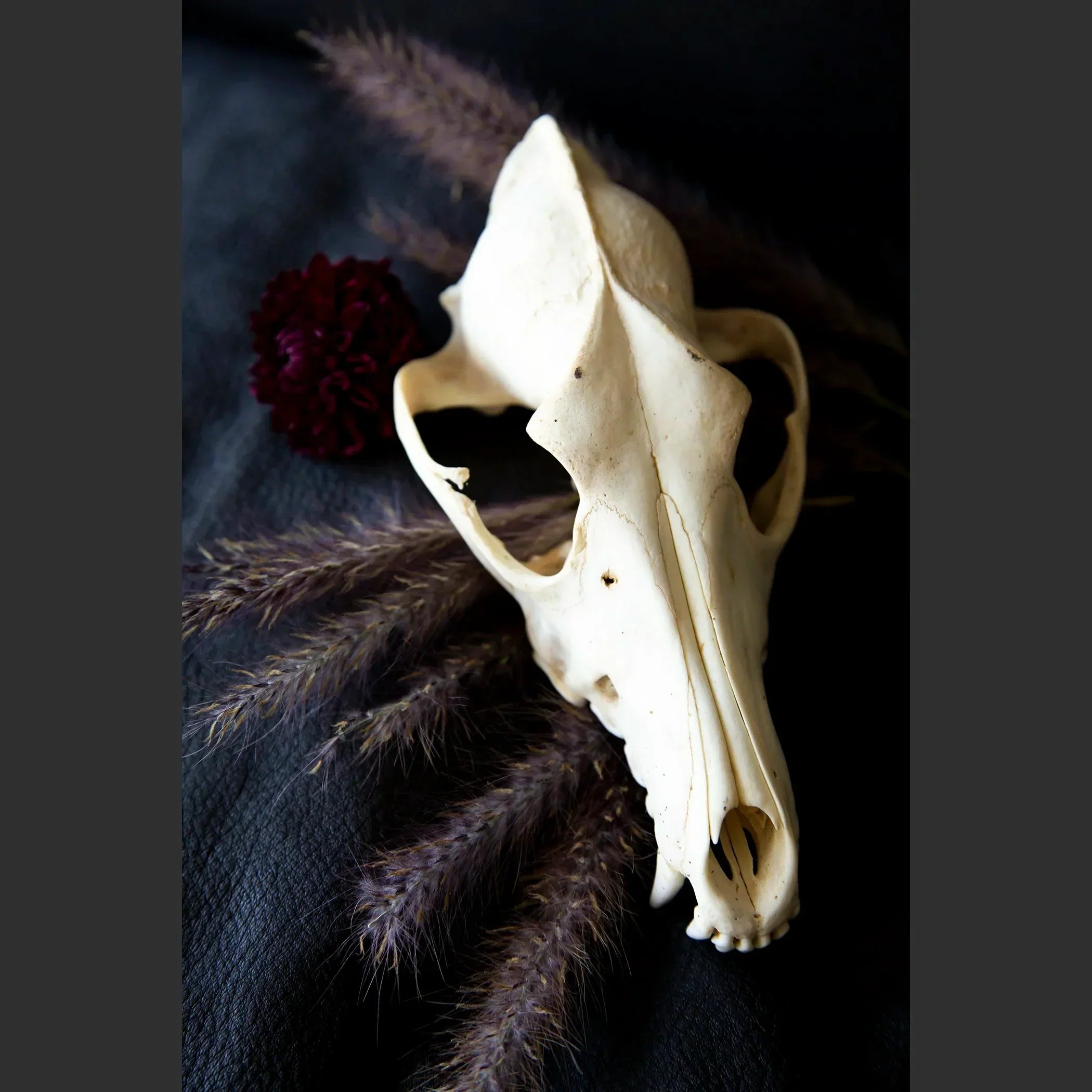 SkullsAndFlowers5-0924.jpg