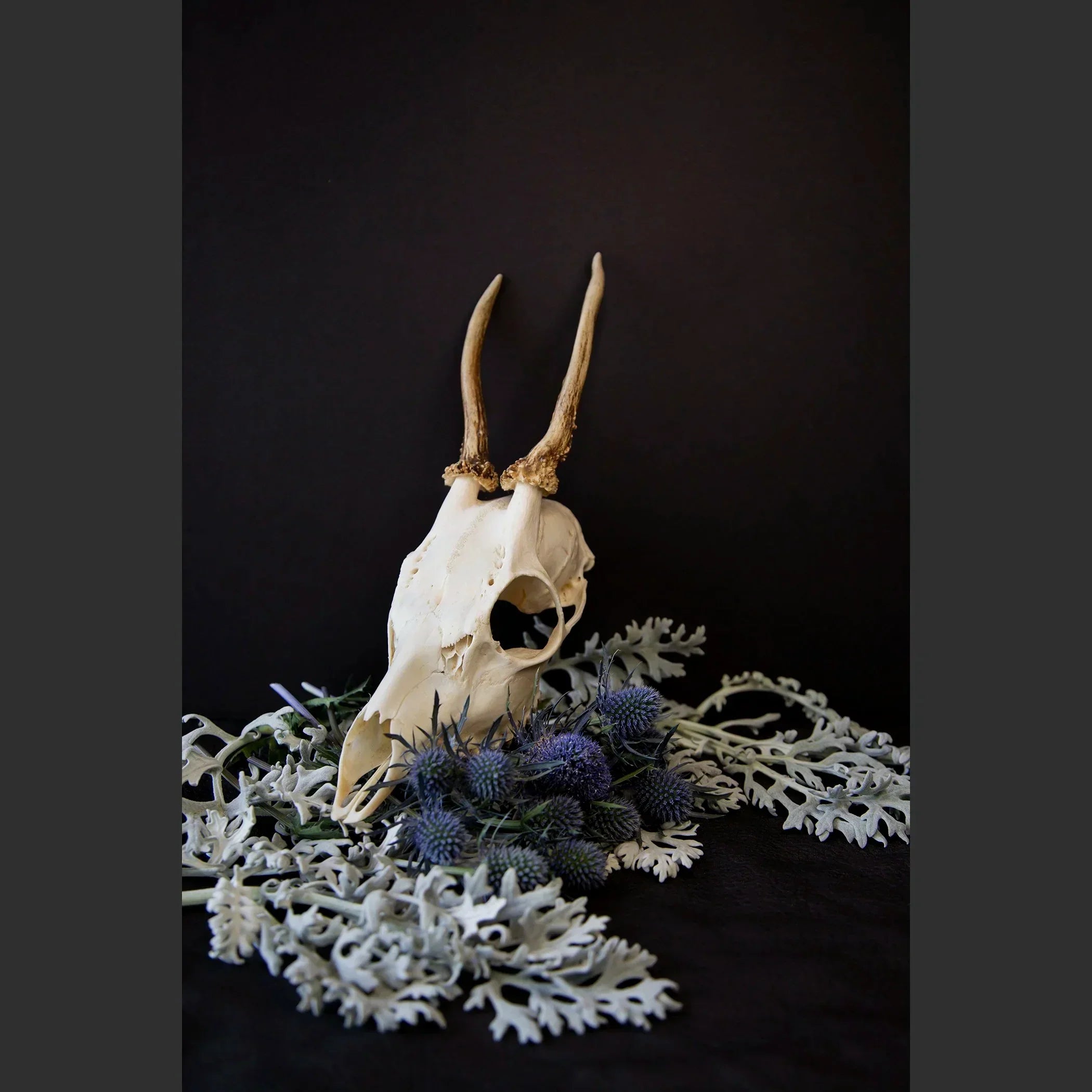 SkullsAndFlowers6-0729.jpg