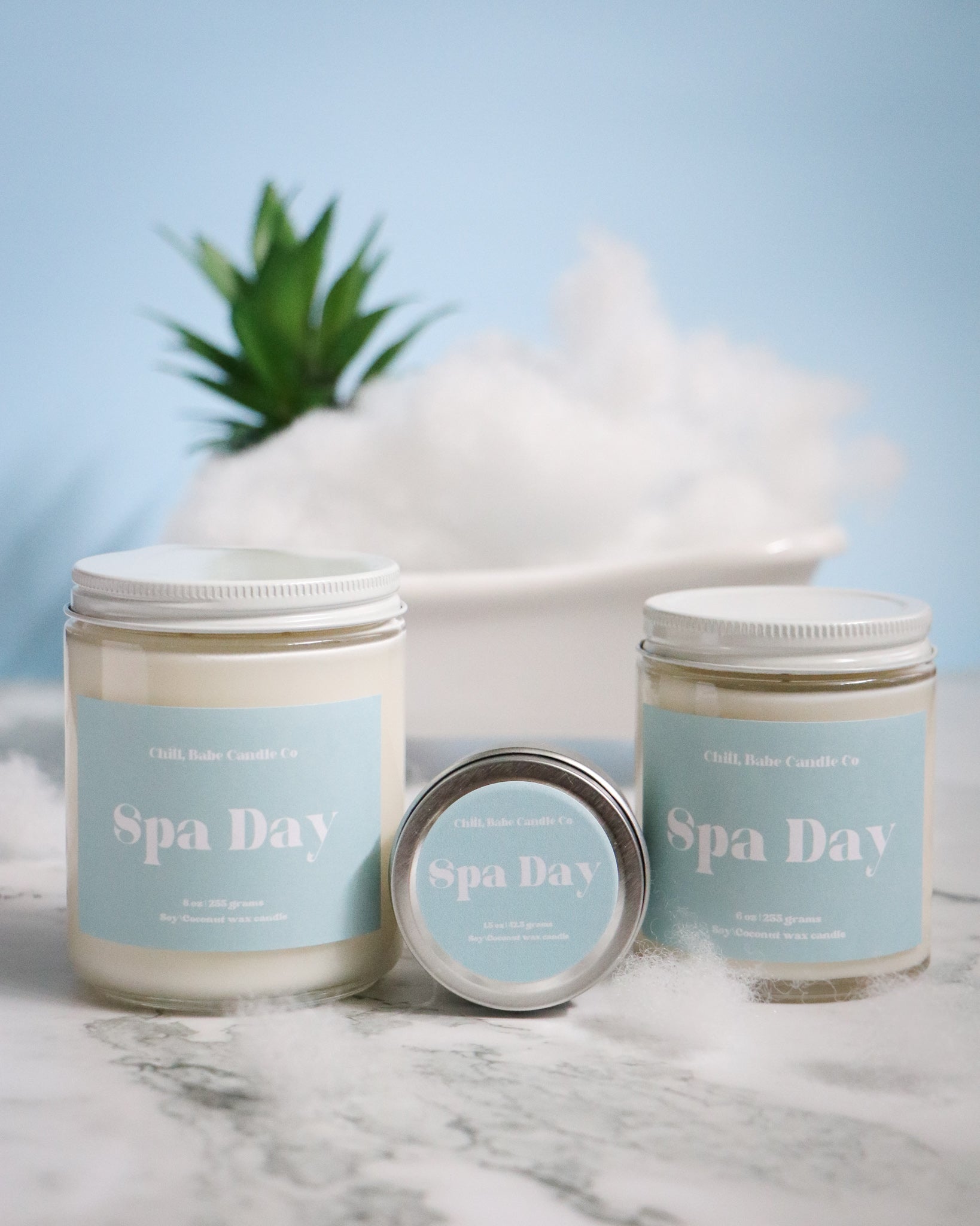 Spa Day Candle | White Tea + Citrus + Jasmine sizes