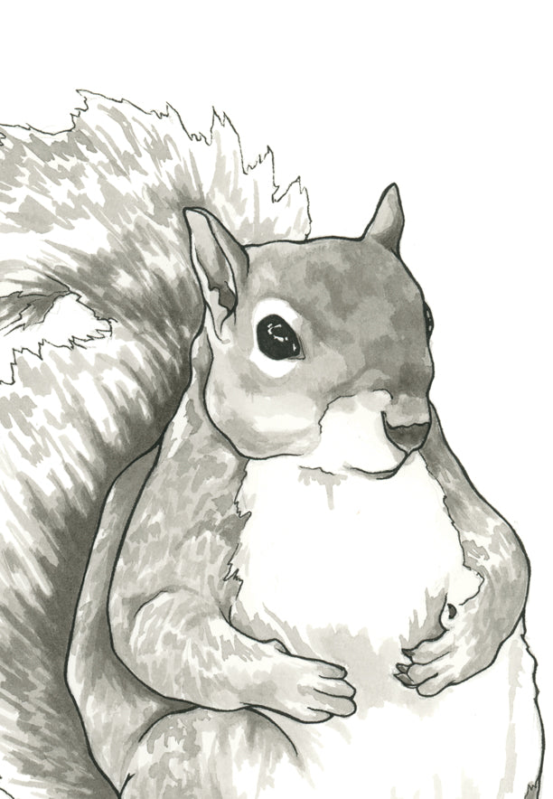 Earl the Squirrel Print