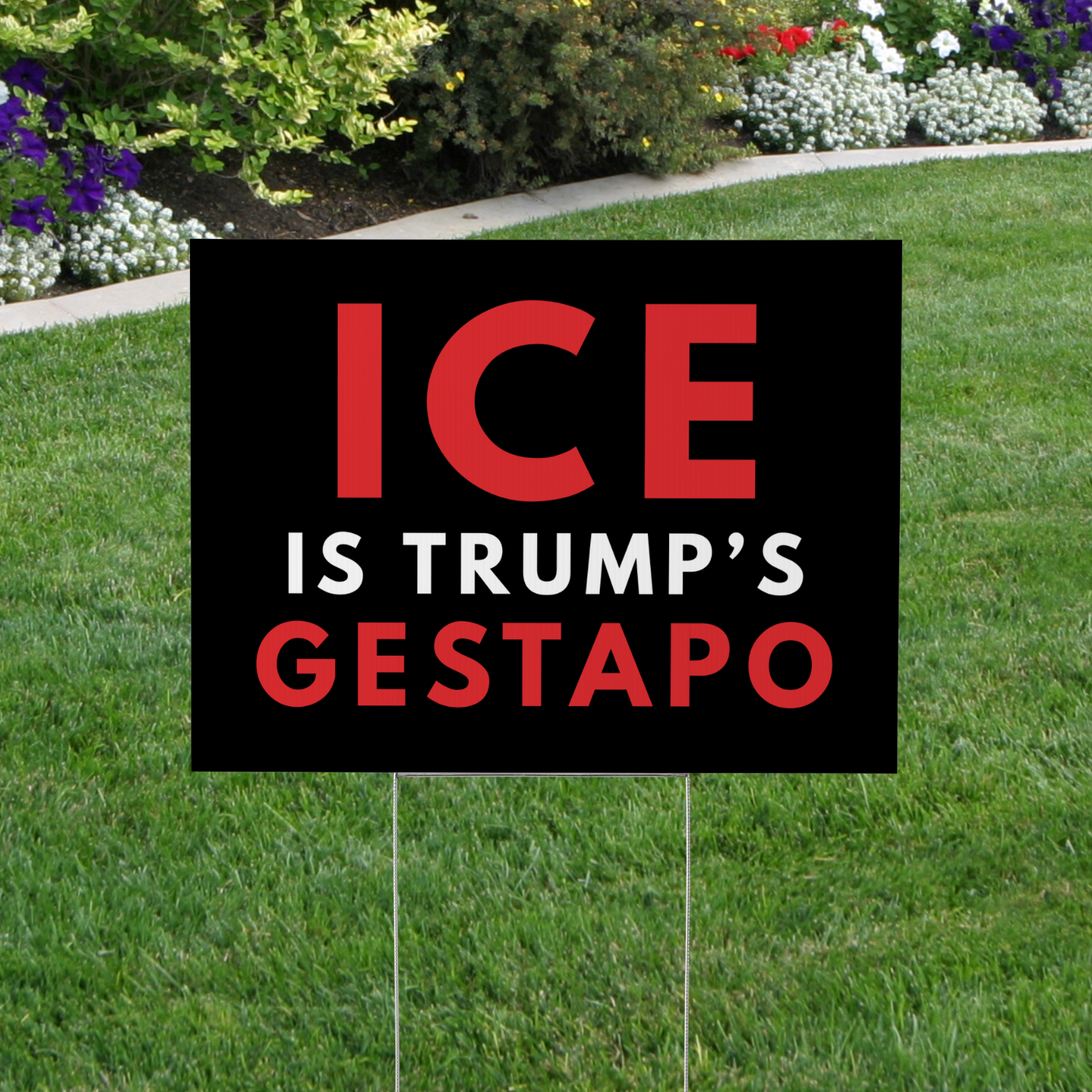 ICE is Trump&