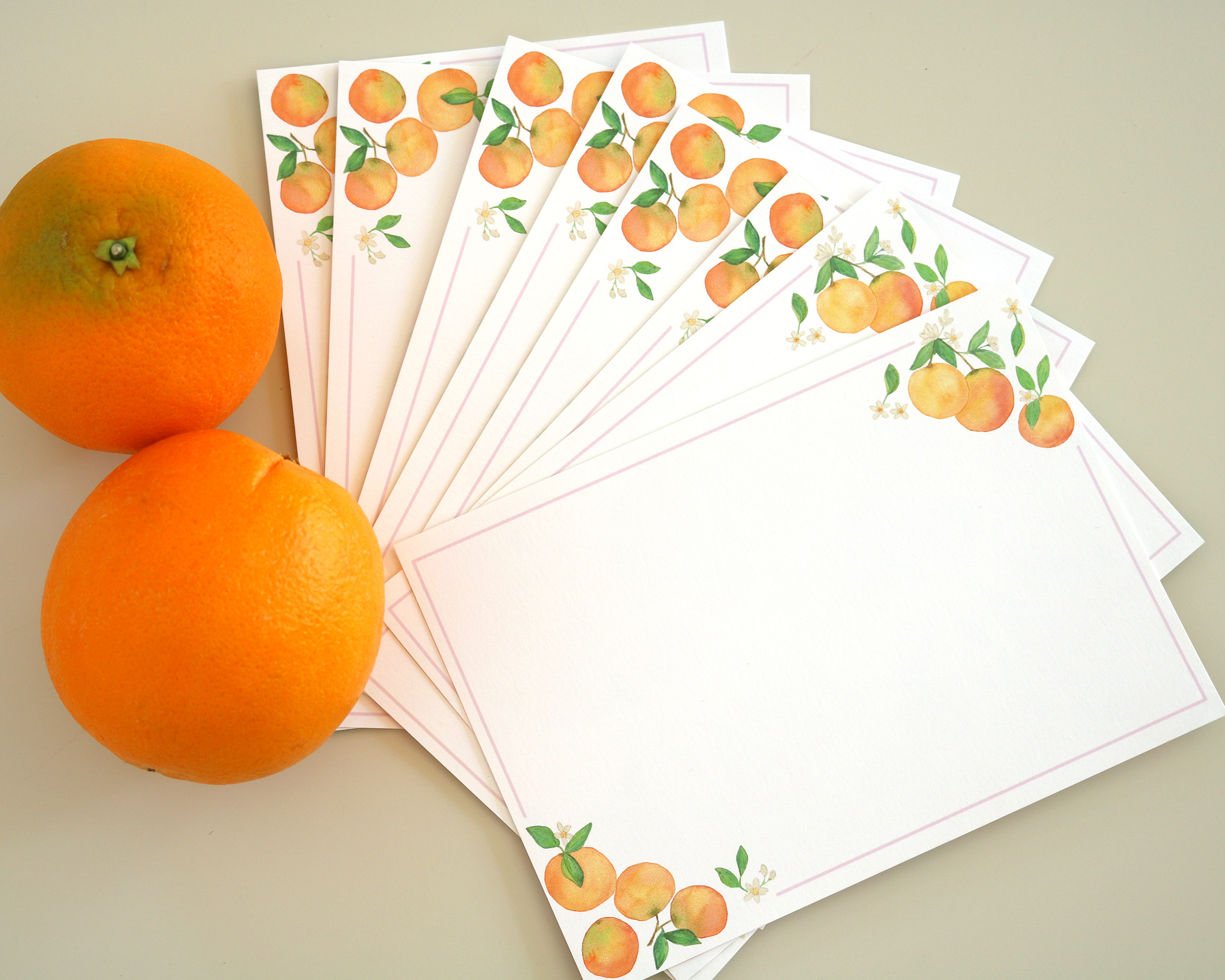 Watercolor Clementine Flat Notecard Stationery Set