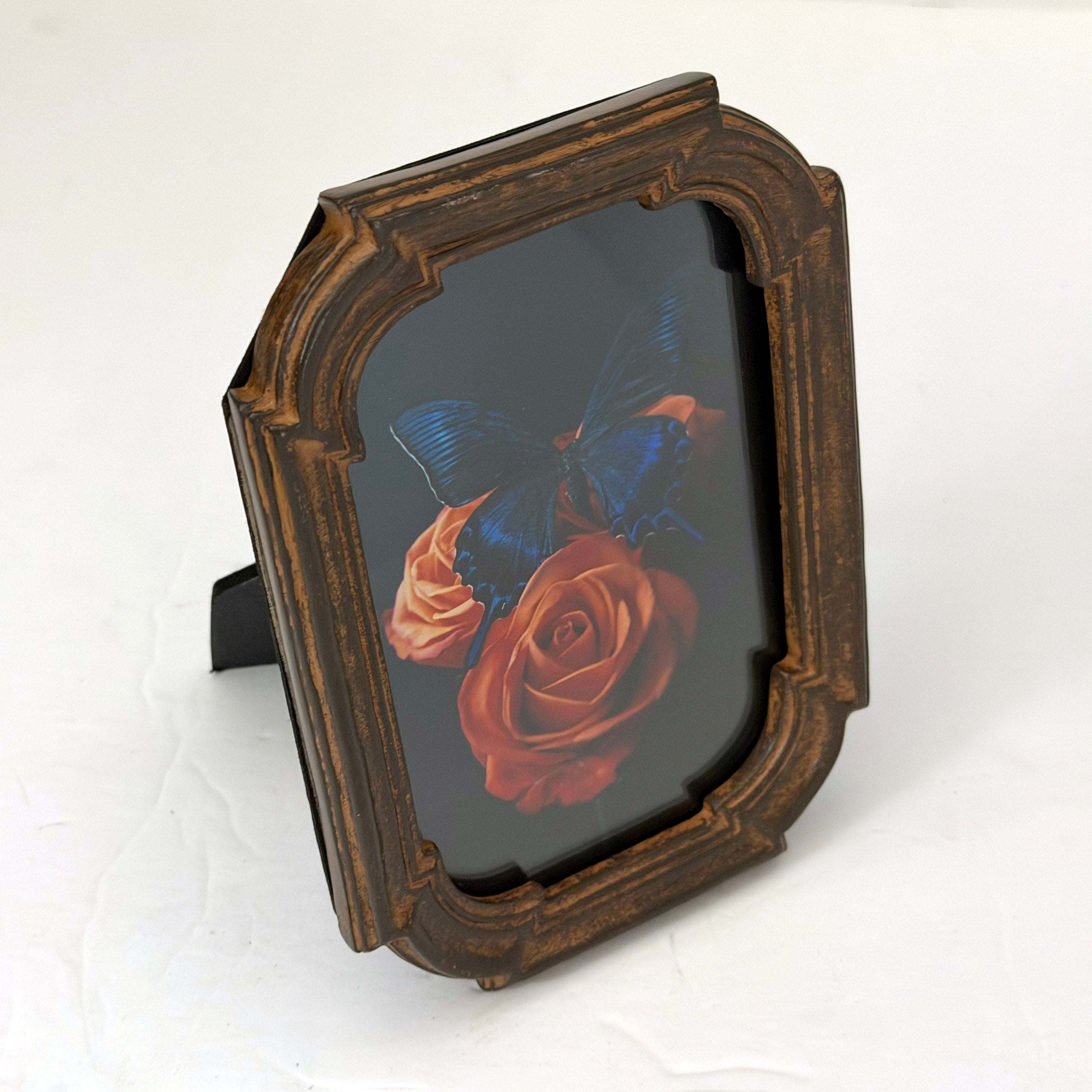 Framed Print Electric Blue Butterfly Perched on Orange Roses 4x6