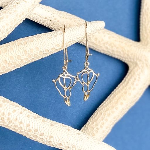 the beach and back single drop gold conch shell earrings on loop wire hanging from white sea stars on blue background