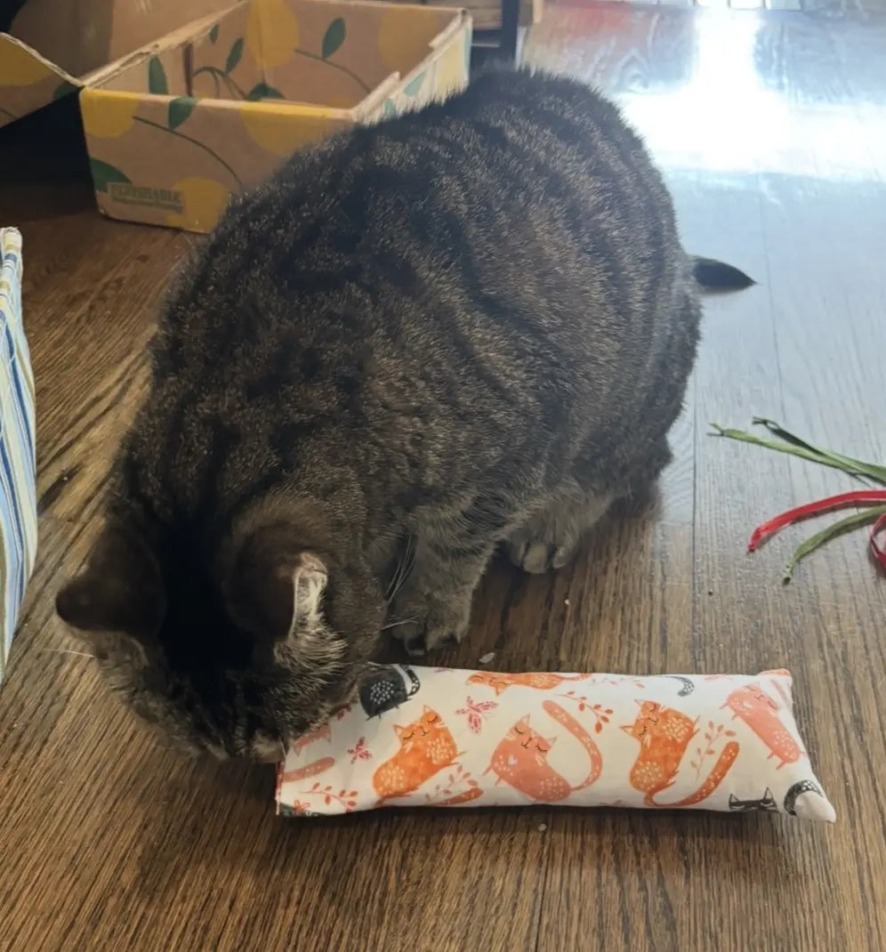 Cat Kicker Toy with Refillable Catnip Pouch