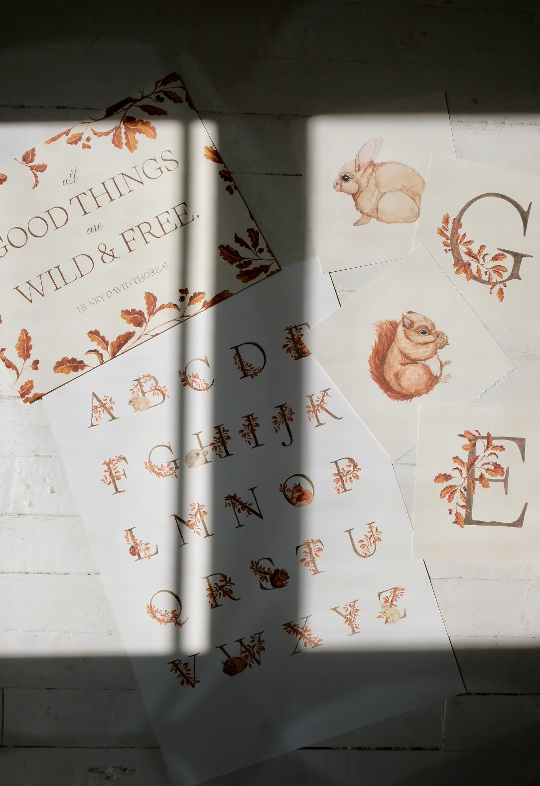 Forest Alphabet