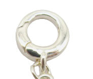 charleston 10 mm clasp