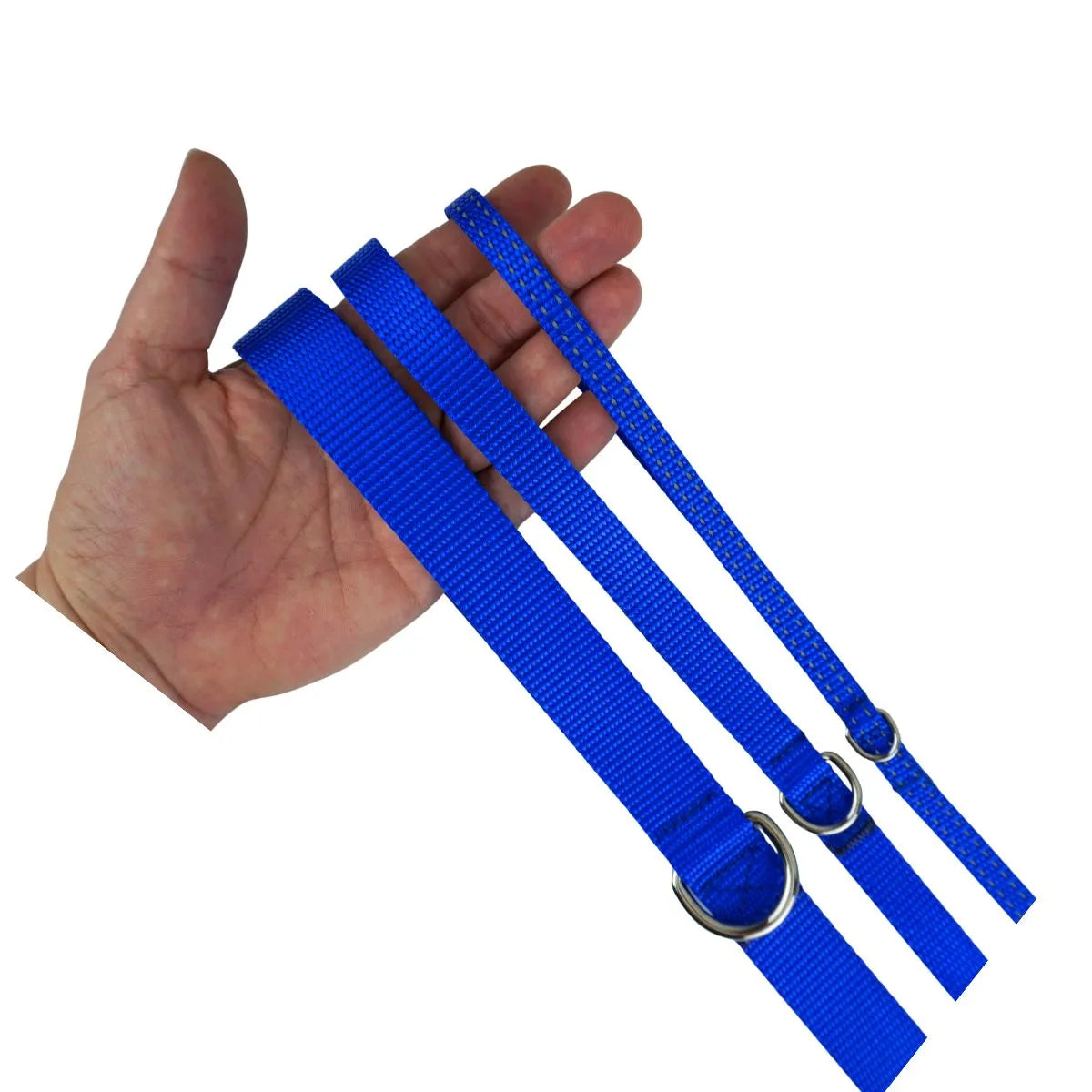 Dog Leash for Small Dogs