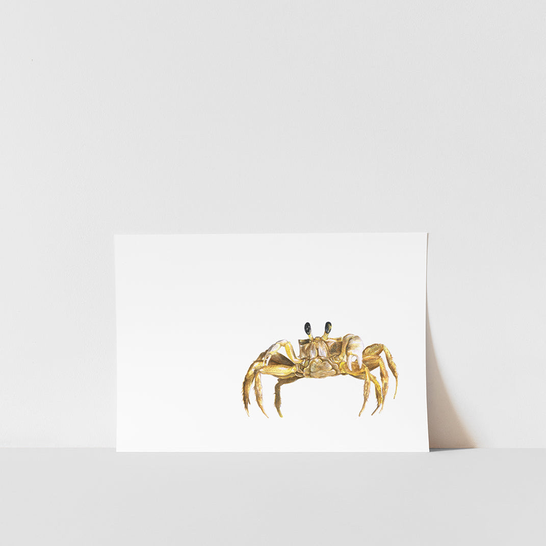Gold crab illustration on a white card with a white background