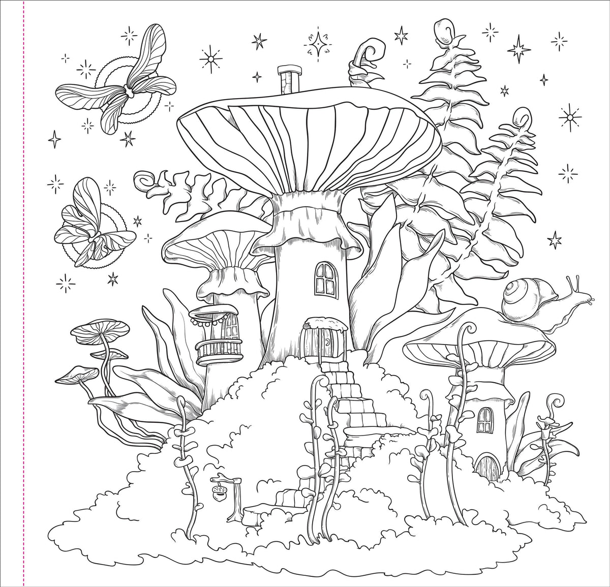 Enchanted Kingdom Adult coloring book