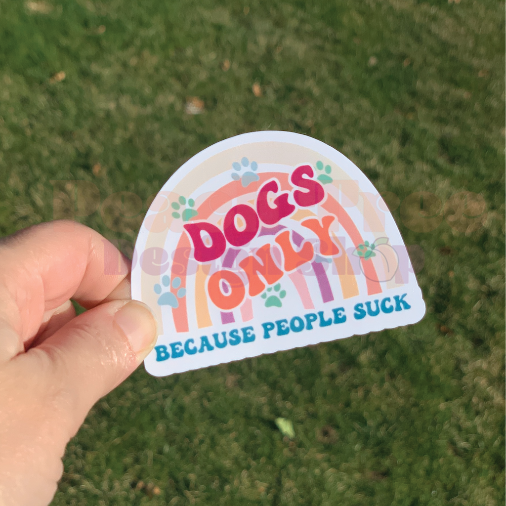 Anti-Inspiration Boho Rainbow Stickers