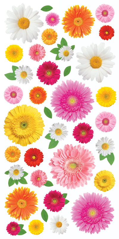 Gerbera Daisies