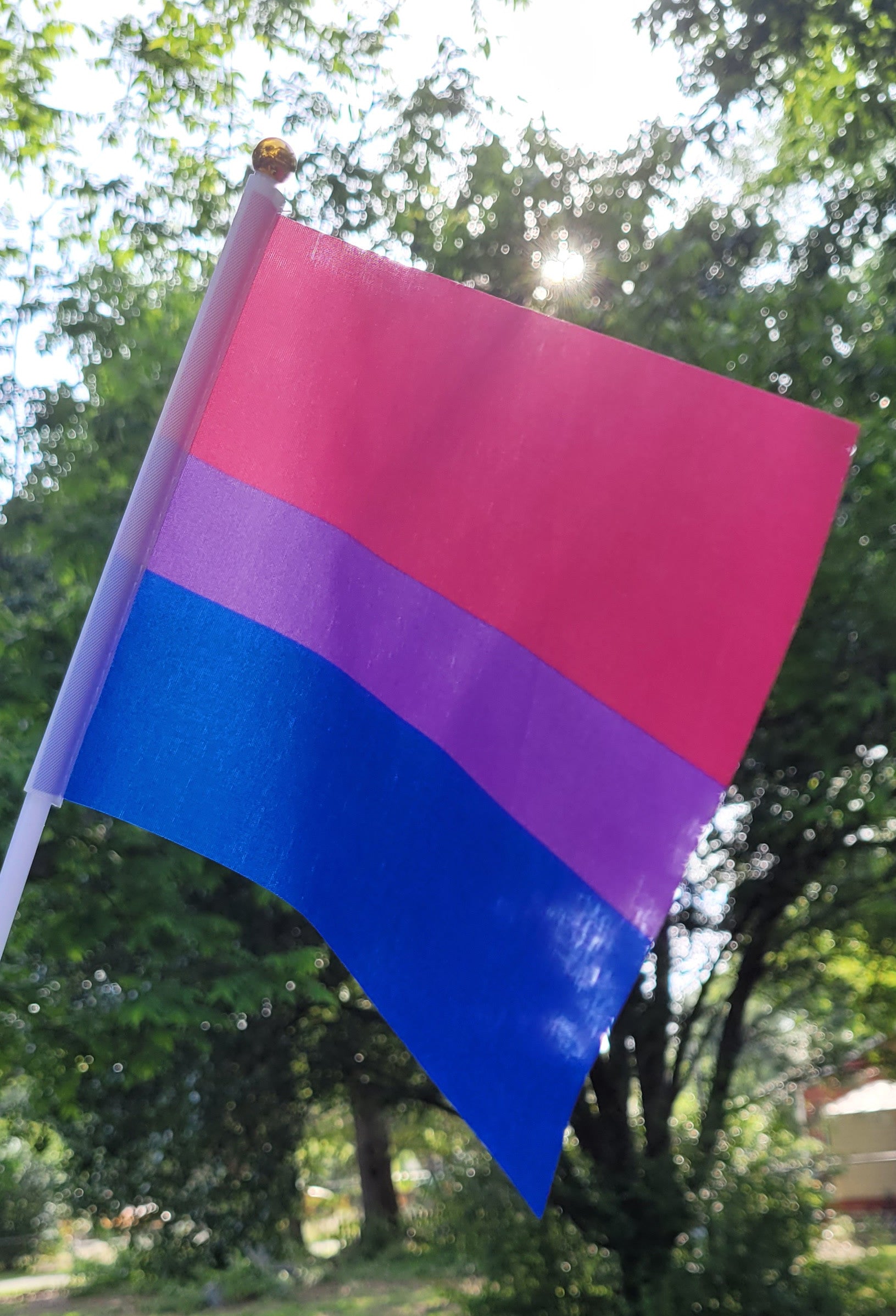 Bi.jpg