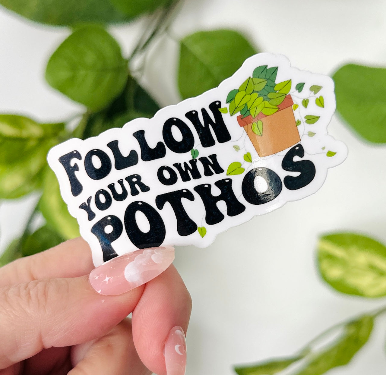 Follow Your Own Pothos Plant Sticker