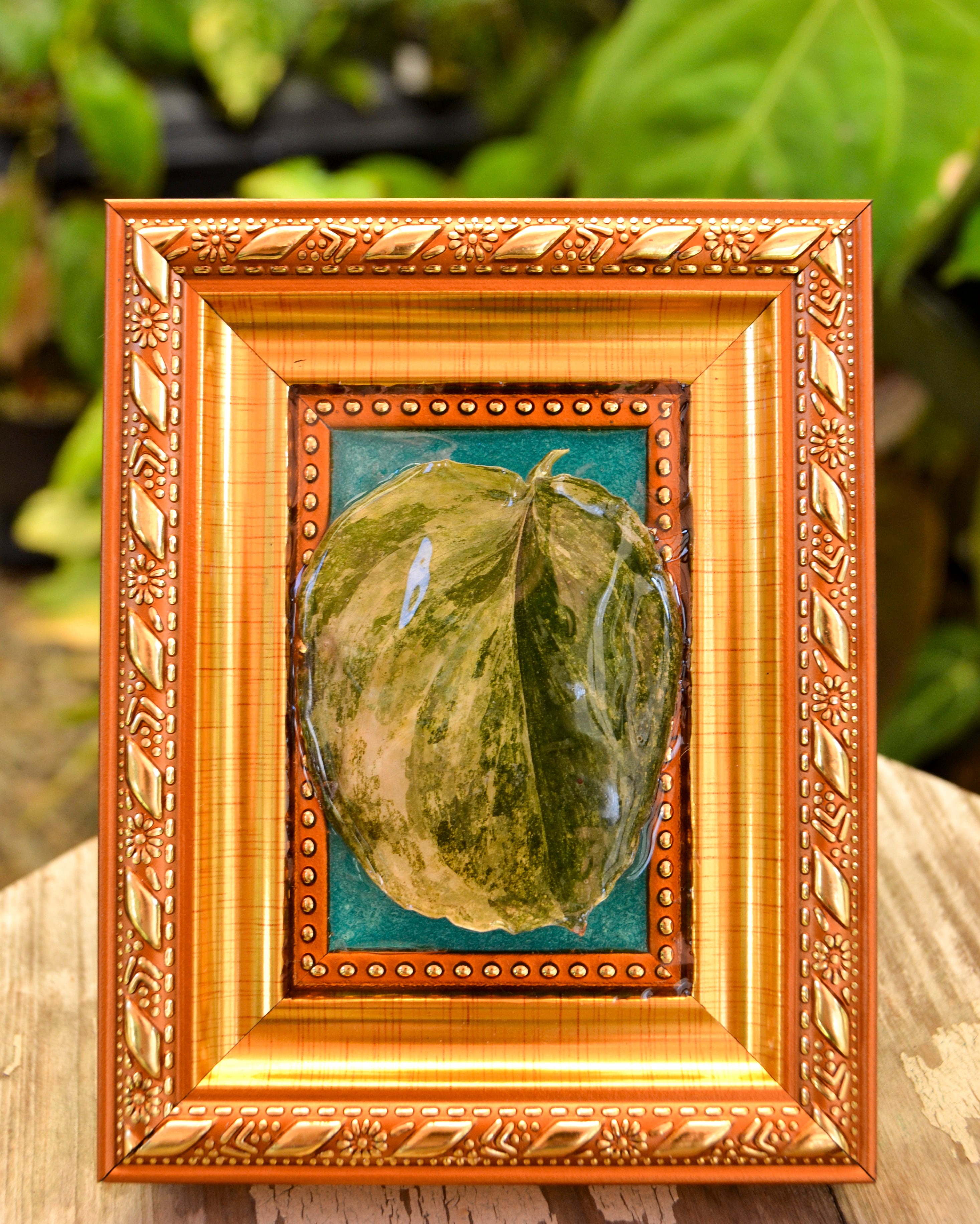 Framed S. Rajatapura