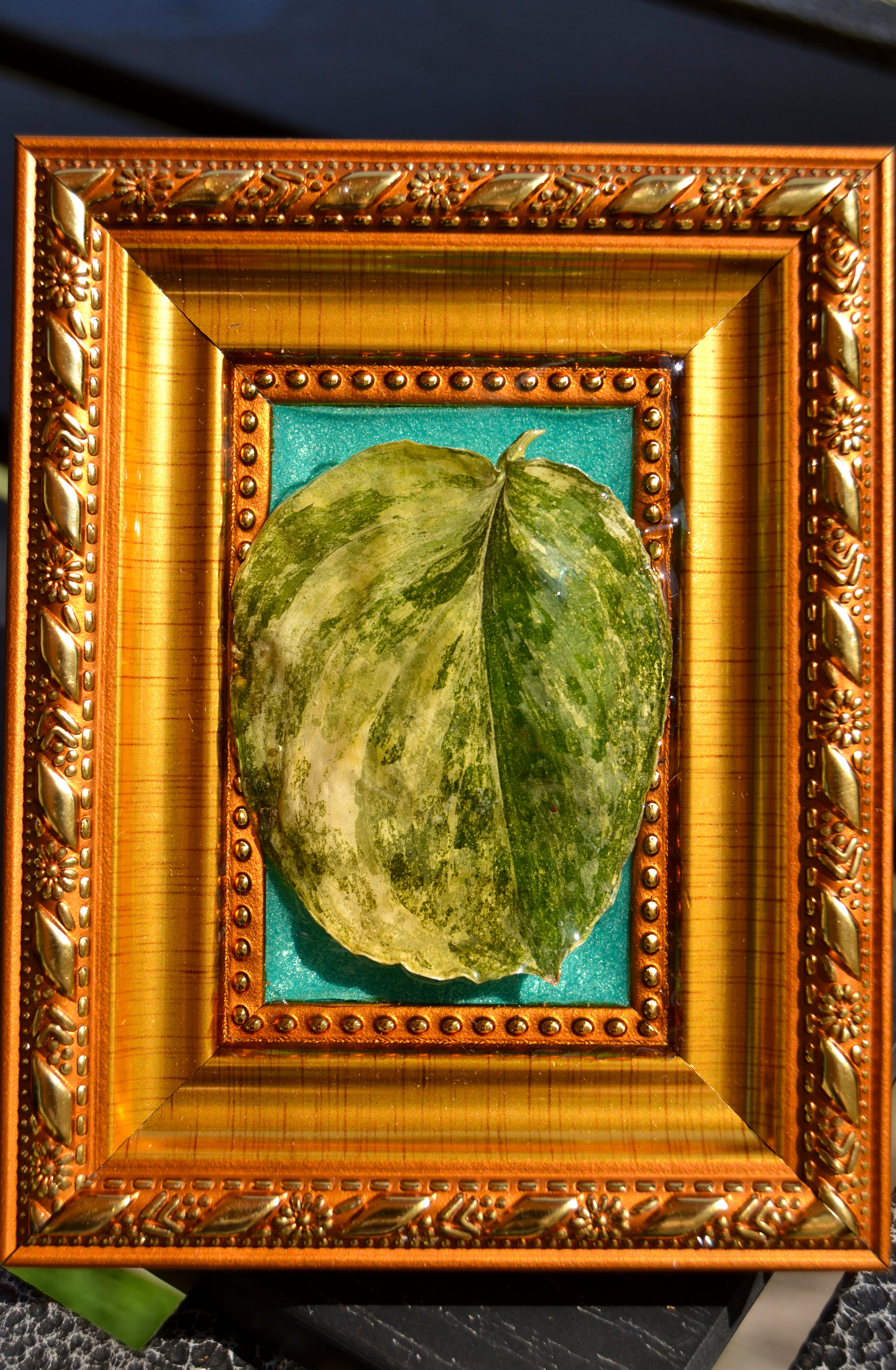 Framed S. Rajatapura