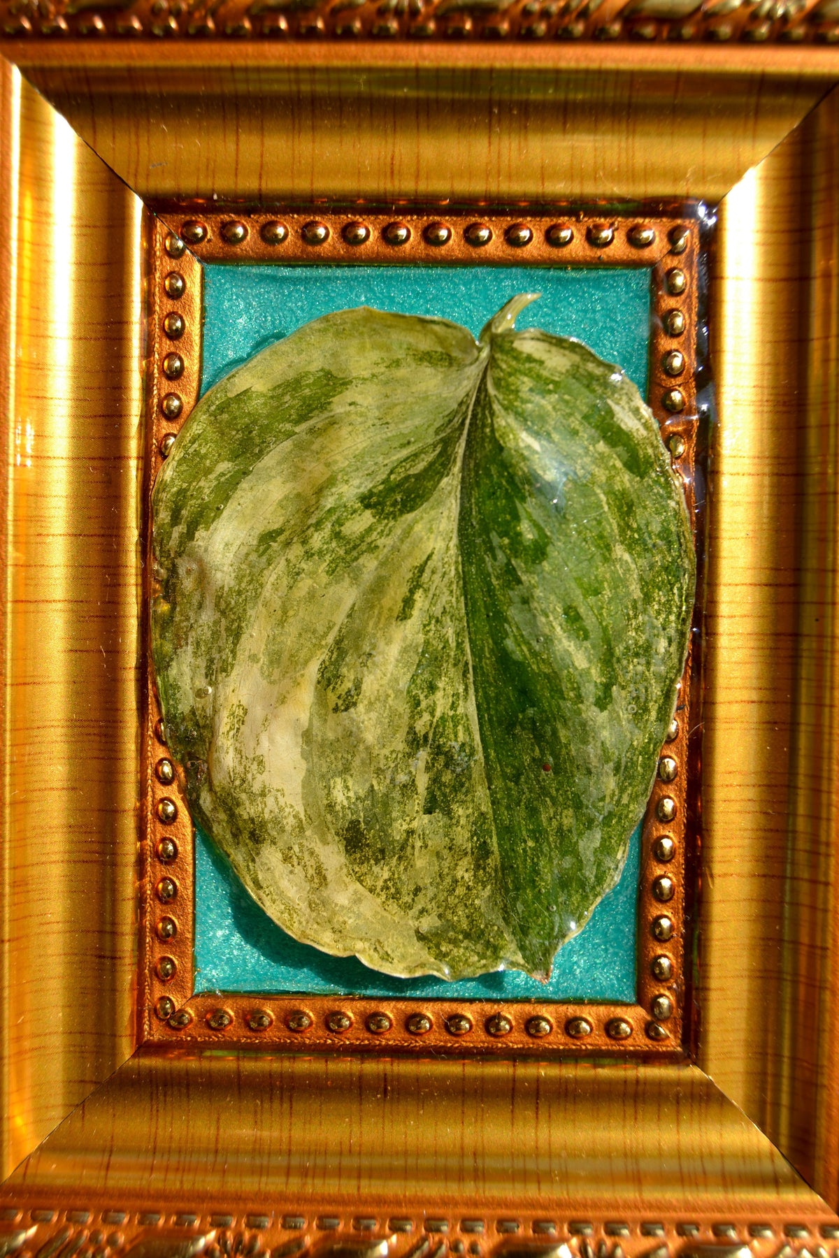 Framed S. Rajatapura