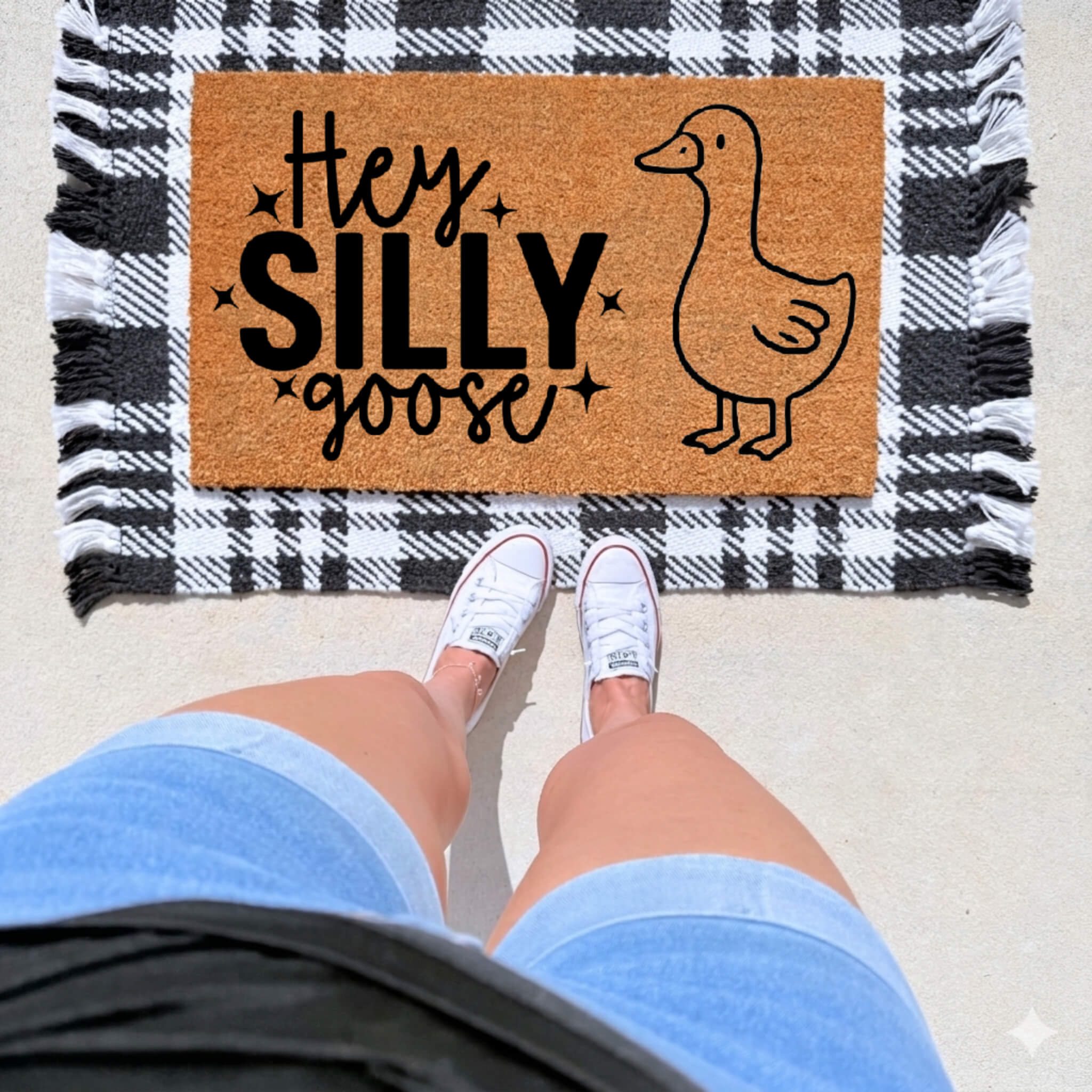 Hey Silly Goose Doormat on front porch with layered rug